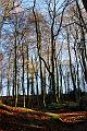 DAG 3 - 14-8-2017_ (152)